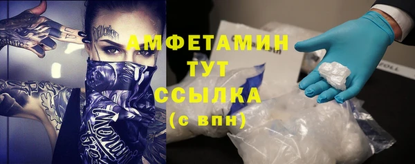 твердый Алзамай