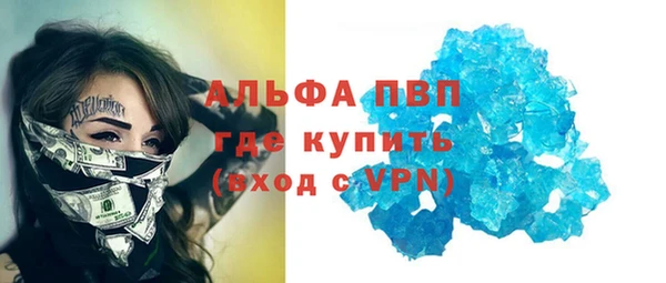 СК Алексин