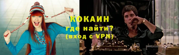 СК Алексин