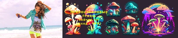 твердый Алзамай