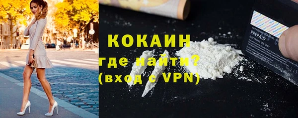 СК Алексин