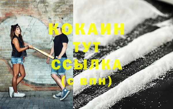 СК Алексин