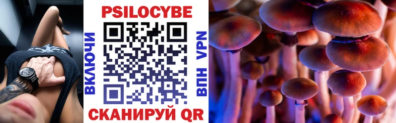закладка  Арамиль  Галлюциногенные грибы MAGIC MUSHROOMS 